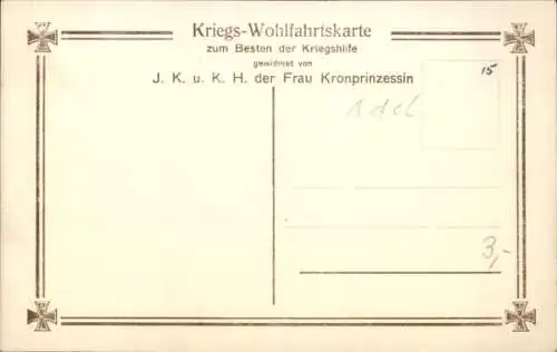 Ak Die kronprinzlichen Söhne, Preußische Prinzen als Kinder in Feldgrau, Liersch 7166