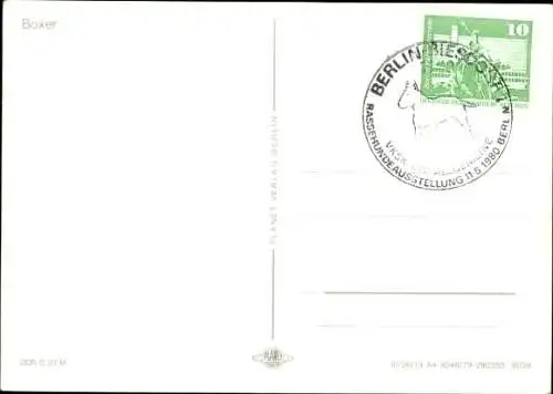 Ak Hund auf einer Wiese, Boxer