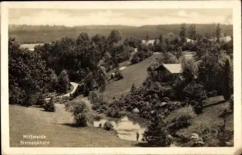 Ak Mittweida in Sachsen, Bismarckhain, Panorama