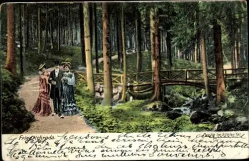 Ak Friedrichroda im Thüringer Wald, Kühles Tal, Wald, Waldweg, Brücke, Spaziergänger