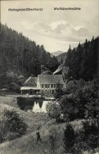 Ak Braunlage im Oberharz, Wolfsbachmühle