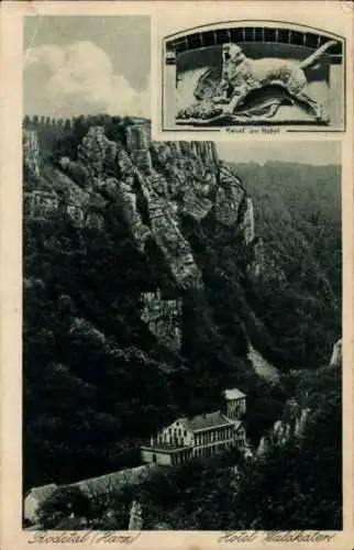 Ak Thale im Harz, Bodetal, Hotel Waldkater, Relief