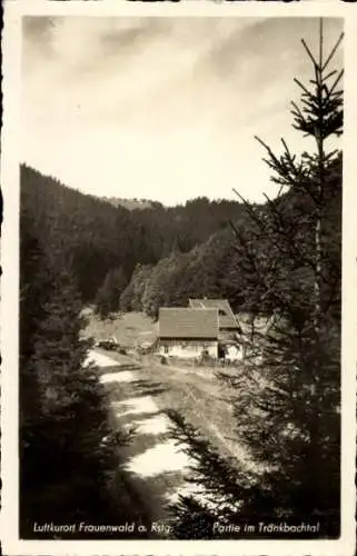 Foto Ak Frauenwald am Rennsteig Ilmenau in Thüringen, Partie im Tränkbachtal