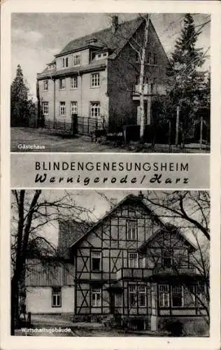 Ak Wernigerode im Harz, Gästehaus, Wirtschaftsgebäude, Blindengenesungsheim