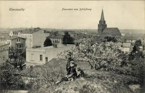 Ak Eberswalde in der Mark, Panorama vom Schlossberg, Kinder