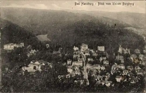 Ak Bad Harzburg am Harz, Gesamtansicht, Blick vom kleinen Burgberg