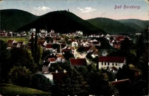 Ak Bad Harzburg in Niedersachsen, Gesamtansicht der Ortschaft, Berglandschaft