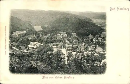 Ak Bad Harzburg am Harz, Gesamtansicht, Blick vom kleinen Burgberg