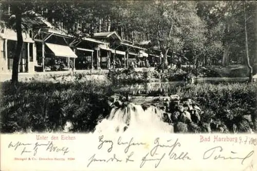 Ak Bad Harzburg am Harz, Unter den Eichen