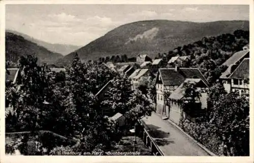 Ak Ilsenburg im Harz, Buchbergstraße