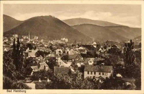 Ak Bad Harzburg am Harz, Gesamtansicht