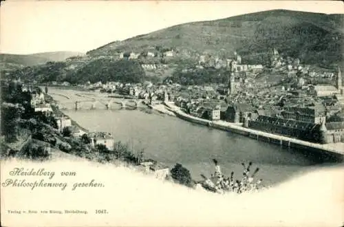 Ak Heidelberg am Neckar, Gesamtansicht, Brücke, Blick vom Philosophenweg