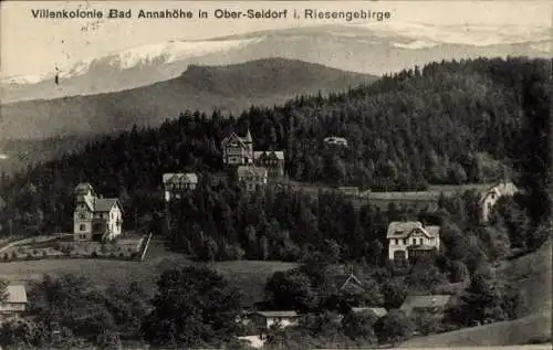 Ak Sosnówka Seidorf Podgórzyn Giersdorf Riesengebirge Schlesien, St. Anna Höhe, Villenkolonie