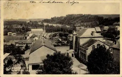 Ak Houffalize Wallonien Luxemburg, Montagne des Cochons