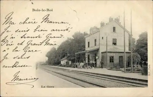 CPA Bois le Roi Seine et Marne, La Gare