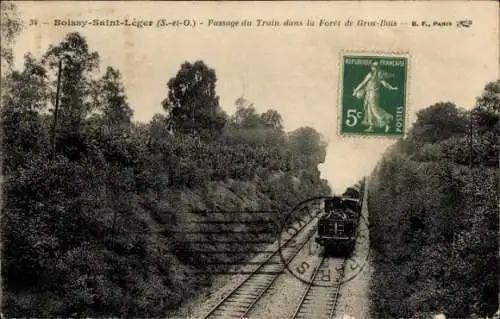 CPA Boissy Saint Léger Val de Marne, Passage du Train dans la Forêt