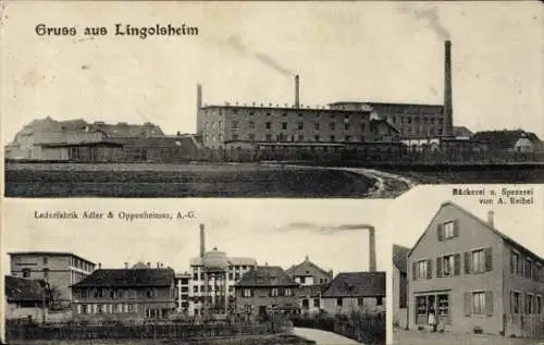 Ak Lingolsheim Elsass Bas Rhin, Bäckerei Spezerei von A. Reibel, Lederfabrik Adler Oppenheimer