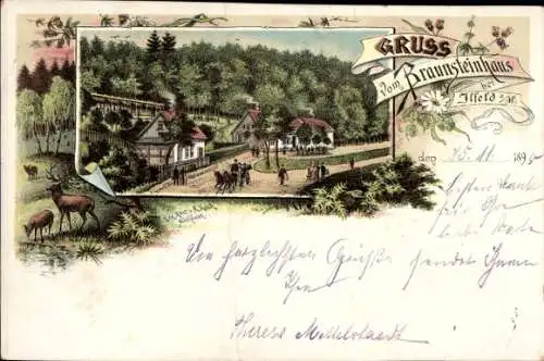 Litho Ilfeld am Harz Thüringen, Braunsteinhaus