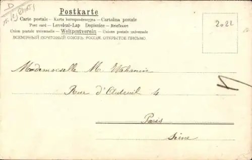 Litho Drei getigerte und eine weiße Katze