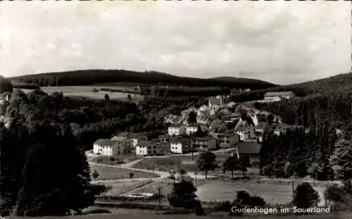 Ak Gudenhagen Petersborn Brilon im Sauerland, Panorama