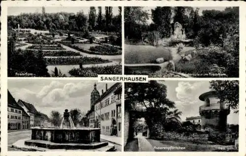 Ak Sangerhausen am Südharz, Rosarium, Husarenpfortchen