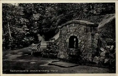 Ak Bad Grund im Harz, Radiumquelle-Stecklenberg