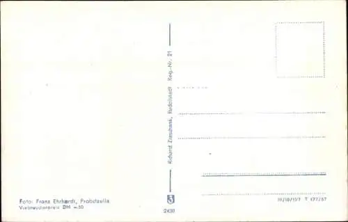 Ak Probstzella in Thüringen, Teilansicht