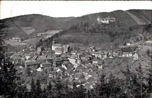 Ak Leutenberg in Thüringen, Gesamtansicht