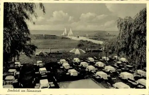 Ak Lembruch am Dümmersee, Brinkmeyers Strandlust, Panorama, Terrasse