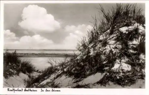 Ak Insel Baltrum in Ostfriesland, Dünen, Panorama