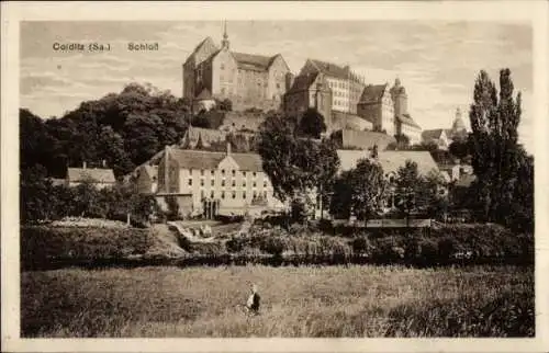 Ak Colditz in Sachsen, Schloss