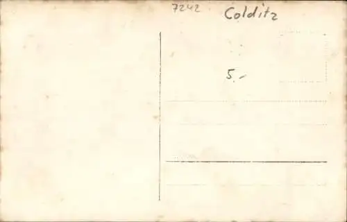 Ak Colditz in Sachsen, Teilansicht