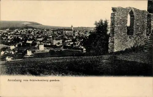 Ak Annaberg Buchholz im Erzgebirge, Totalansicht, Blick vom Schreckenberg