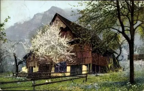 Photochromie Ak NOD Nr 1598, Bauernhaus, Baumblüte