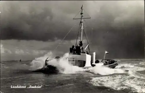 Ak Niederländisches Lotsenboot Zeekoet