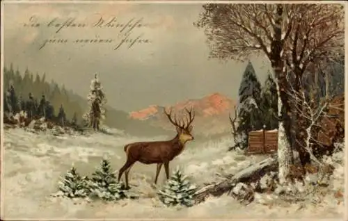 Ak Winterszene, Hirsch, Kleine Tannenbäume