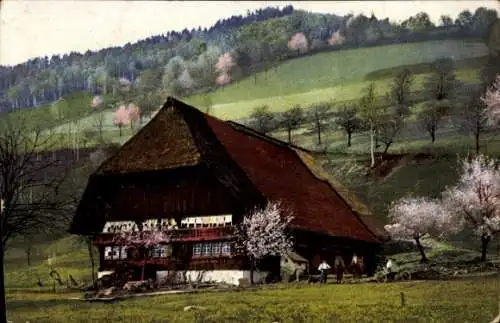 Ak Kirnbachtal Schwarzwald, Nenke und Ostermaier 169 3008