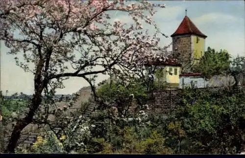 Ak Nenke & Ostermaier Serie 76 Nr 1906, Frühling im Frankenlande, Apfelblüte, Rothenburg