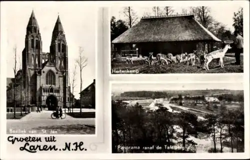 Ak Laren Nordholland Niederlande, Basiliek van St. Jan, Hertenkamp, Tafelberg