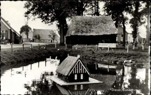 Ak Diever Drenthe Niederlande, Eendenvijver