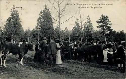 CPA Paris XII Bois de Vincennes, Avenue Daumesnil, Laiterie sur la pelouse