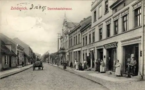 Ak Zehdenick in der Mark, Dammhaststraße