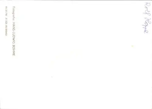 Ak Schauspieler Rolf Hoppe, Portrait, Autogramm