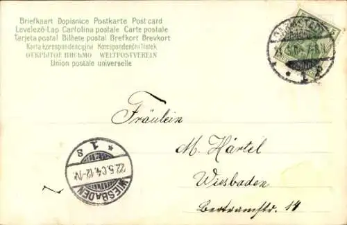 Litho Glückwunsch, Pfingsten, Maikäfer