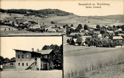 Ak Saupsdorf Sebnitz in Sachsen, Panorama mit Wachberg, Gebäude