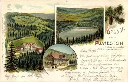 Litho Ruhestein Baiersbronn im Schwarzwald, Gasthof, Landschaft