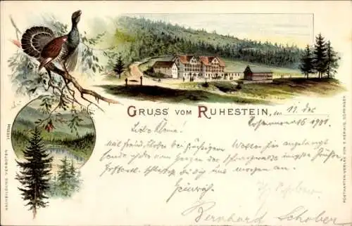 Litho Baiersbronn im Kreis Freudenstadt, Ruhestein, Wildsee, Auerhahn