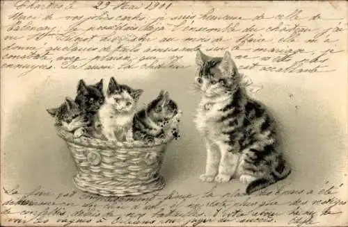 Litho Katzenkinder im Korb, Katzenmutter