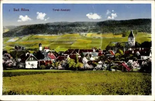 Ak Bad Bibra im Burgenlandkreis, Dorf, Landschaft, Kirche, Total-Ansicht, Blühende Bäume, Male...