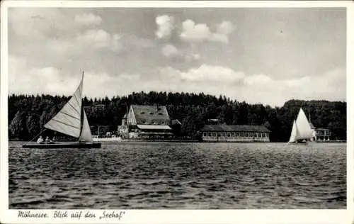 Ak Möhnesee in Westfalen, Seehof, Segelboot